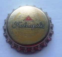 Kalnapilis