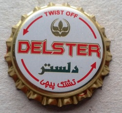 Delster