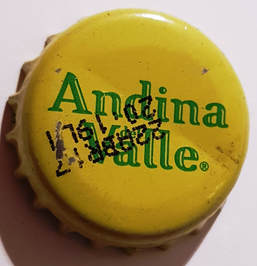Andina