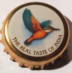 Kingfisher